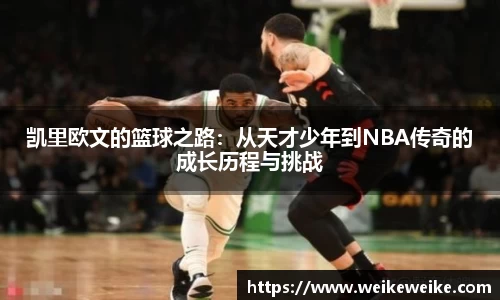 多宝电竞