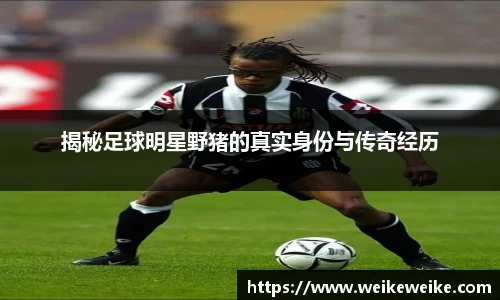 多宝电竞官网