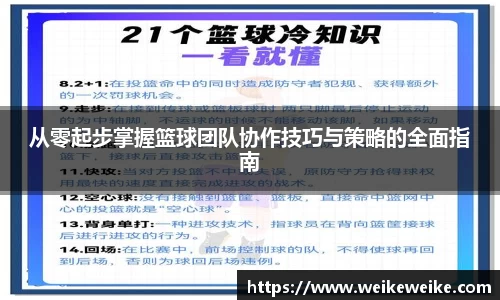 从零起步掌握篮球团队协作技巧与策略的全面指南