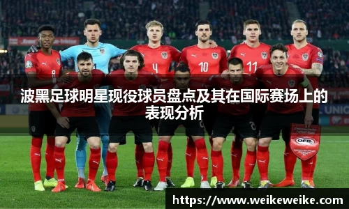 波黑足球明星现役球员盘点及其在国际赛场上的表现分析